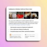 Top 10 des meilleures agences pour le Référencement SearchGPT – ChatGPT en 2025